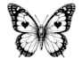 manually vector trace, redraw and convert logo to ai, eps, svg
